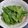 しっぽくらら's cooksnap of when they made モロッコいんげんの辛子生姜あえ.