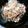 季節外れ's cooksnap of when they made 低カロ♪しらたきの明太子昆布佃煮和え♪.