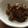 蝶子★'s cooksnap of when they made ゴーヤの梅味噌和え.