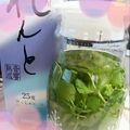 ＴＯＭＯＷＡＴ's cooksnap of when they made 黒糖焼酎でミント酒♪そしてモヒート.