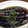 まるそん's cooksnap of when they made 激うま♪なすの揚げ焼き浸し.