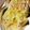 マ行のママ's cooksnap of when they made 簡単！豪華！パングラタン.