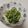 クックE662AA☆'s cooksnap of when they made オクラお浸し♡簡単.