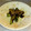 アルタント's cooksnap of when they made 旨い！焼きししとうの煮浸し.