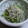 tama2012's cooksnap of when they made 簡単！しらすときゅうりの酢の物.