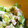まみむめりこ's cooksnap of when they made レタスとニラとメンマの和え物.