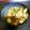 ネコたぬき's cooksnap of when they made おくらと豚肉の生姜焼き♪.