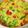 Spieiunium's cooksnap of when they made ランチにお手軽キッシュ♪.