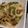 ｻﾁｺ1007's cooksnap of when they made 簡単安うま！弁当に！キャベツピーマン炒め.