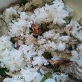かぴーな's cooksnap of when they made あっさり焼き鯖飯.