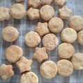 ぽぽ１１２２'s cooksnap of when they made ★おからクッキー★.