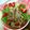 cosumi's cooksnap of when they made エリンギとえのき♪にんにくオイルでサラダ.