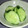 アスカチャチャ's cooksnap of when they made さっぱり✿きゅうりの浅漬け.
