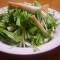 わたママ's cooksnap of when they made 水菜とちくわのサラダ.