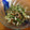 ＊まなみゆ＊'s cooksnap of when they made ちくわとセロリの辛子マヨ.
