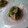 8itao8's cooksnap of when they made ハムときゅうりの酢の物.