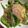 たっぷりみかん's cooksnap of when they made 生ハムとルッコラのパスタ♪.