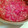 しろうさはな's cooksnap of when they made 我が家の定番トマトソース.