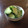 ひぃこ＊'s cooksnap of when they made ♪うちのきゅうりの浅漬け食べてみて!!♪.