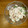 kure_shin's cooksnap of when they made ｵｸﾗとｻｻﾐのマヨネーズ和え.