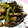 ともまき０３１３'s cooksnap of when they made 簡単♪なすとししとうのひき肉炒め.