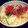 ayako1020's cooksnap of when they made 簡単★お手軽★鮭といくらのまぜごはん.