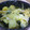 とえし's cooksnap of when they made じゃがいも✿わかめの卵とじ♡.