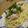 haruku221's cooksnap of when they made しらすおろし和え冷製カッペリーニ.