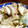 料理ベタなei's cooksnap of when they made レンジで簡単！たらのクイック蒸し♪.