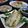 ヒーコー's cooksnap of when they made 天ぷら・コツのコツ.