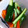 nothree's cooksnap of when they made 残り野菜で簡単ピクルス.
