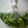 maruru-nn's cooksnap of when they made 切って入れるだけ。万能ネギの保存法.