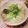 atsuka's cooksnap of when they made 超さっぱり！梅干しともずくの汁そば.