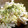 ニョニャなな's cooksnap of when they made 簡単☆スピーディ☆豆腐と豚肉のマヨ炒め.