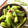 ryoko5's cooksnap of when they made しし唐とおかかで♪.