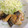 ｊ−ｊ−ｆ's cooksnap of when they made 簡単すぎる☆★塩さばの竜田あげ.