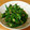 せいたん、りゅうたん's cooksnap of when they made オクラのごま和え.