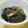 ぱぱぱぱまま's cooksnap of when they made さっぱり☆茄子のみぞれ煮.