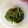 クタロー's cooksnap of when they made ヘルシーつまみ！からし菜のごま酢みそあえ.