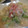 はらぺこウサギのママ's cooksnap of when they made とろぉ～り☆エビとブロッコリーの卵とじ.