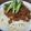 ふとんねこ's cooksnap of when they made ジャージャー☆うどん.