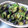 chotako's cooksnap of when they made 茄子とピーマンとしその葉の味噌炒め.