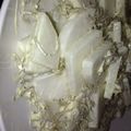 hakura's cooksnap of when they made 大根としらすのサラダ.