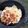 wakaba_kei's cooksnap of when they made ダッチオーブンdeスイートポテト.