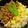 さとっぺ♂'s cooksnap of when they made すりゴマ入り鶏そぼろ丼★.