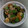 7丁目の嫁's cooksnap of when they made 簡単！なすと豚肉のめんつゆ炒め.