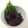 sirene323's cooksnap of when they made 革命！まるでごは○ですよ！ゴーヤの佃煮.