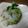 yuiyui0405's cooksnap of when they made 白菜おひたしサラダ.