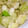 さとっちまる's cooksnap of when they made ＊たらと野菜のバター炒め.