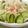 ぴっぴかちゅ～う's cooksnap of when they made 新玉ねぎとズッキーニのマリネサラダ.